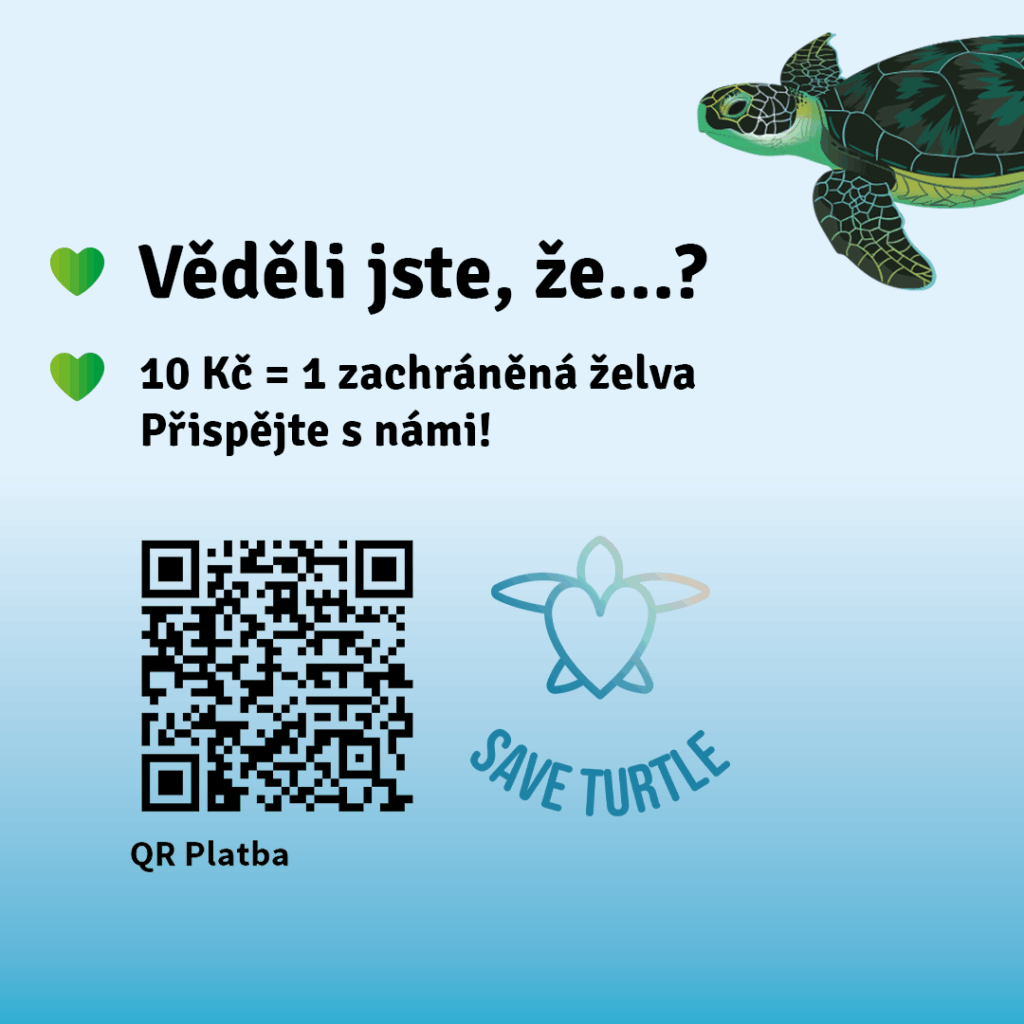 SAVE THE TURTLES Helen Doron