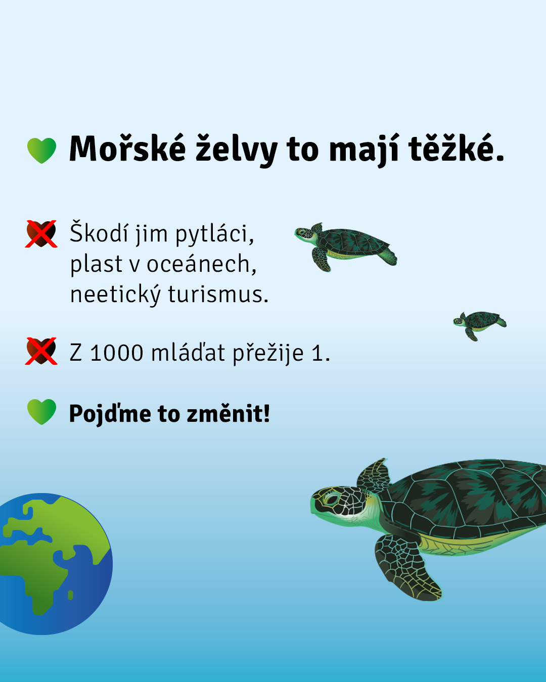 Helen Doron záchrana želv